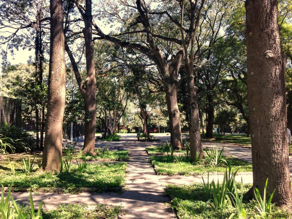 balada de um banco de jardim os azeitonas:10 praças para conhecer em São Paulo – Guia da Semana balada de um banco de jardim os azeitonas:10 praças para conhecer em São Paulo – Guia da Semana