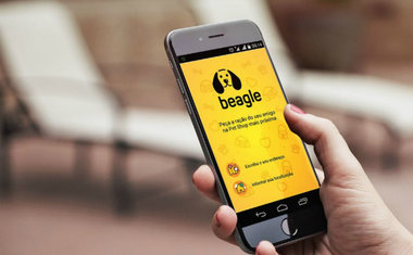 Novo aplicativo oferece delivery de produtos para pets