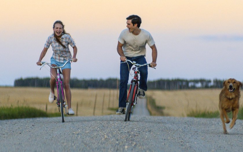 Quatro Vidas de Um Cachorro filme,