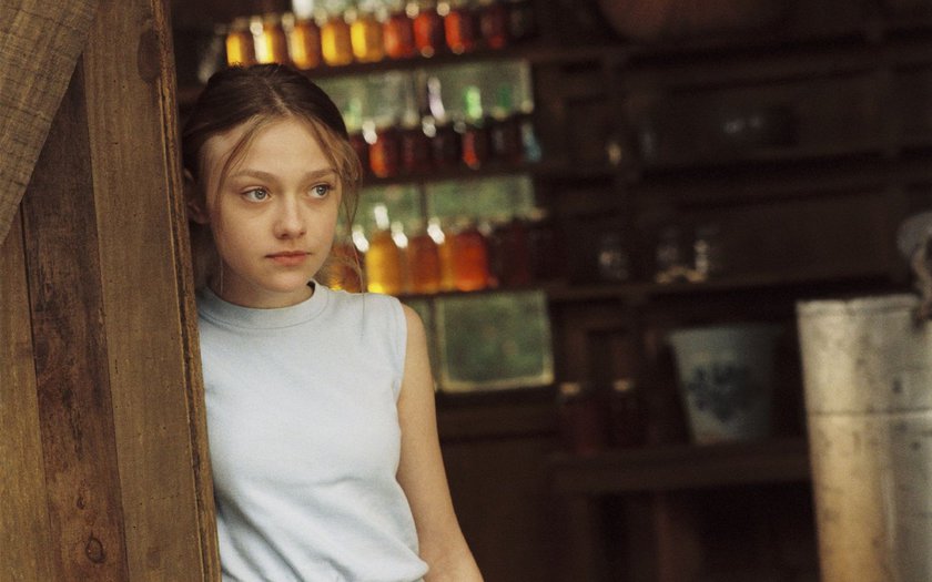 A Vida Secreta das Abelhas (Gina Prince-Bythewood)