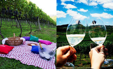 Rota do Vinho: um tour pelas vinícolas da Serra Gaúcha