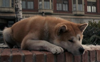Sempre Ao Seu Lado (2009)
