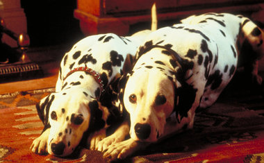 101 Dálmatas (1996)