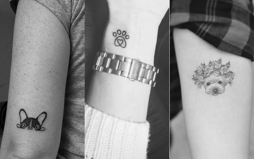 Mais de 30 inspirações de tatuagens para quem ama animais