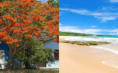 Para se programar: 10 destinos brasileiros que prometem bombar no verão 2018