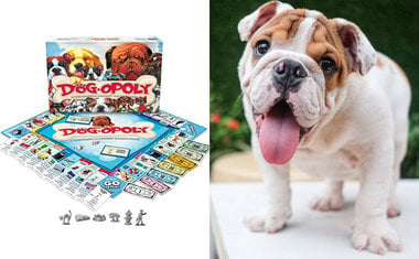 Conheça o jogo Dog-Opoly, o "banco imobiliário" para quem é apaixonado por cachorros