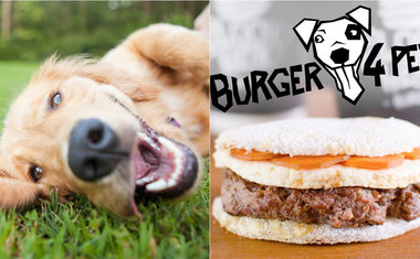 Hamburgueria em SP inova com lanche especial para cachorro; saiba mais!