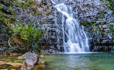 Conheça o Parque Estadual Serra do Mar, incrível área verde próxima a São Paulo