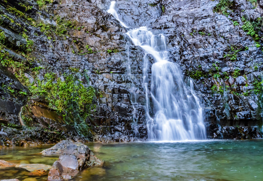 Conheça o Parque Estadual Serra do Mar, incrível área verde próxima a São Paulo Conheça o Parque Estadual Serra do Mar, incrível área verde próxima a São Paulo