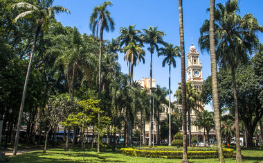 Explore SP: 15 passeios baratinhos para fazer em família na cidade