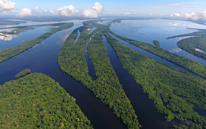 Muita natureza: 5 lugares imperdíveis para conhecer no Amazonas