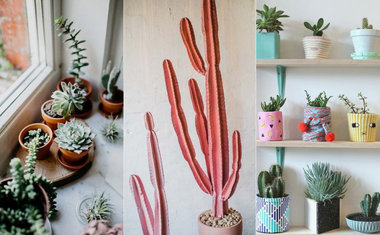 De papel de parede a cactos: 10 tendências de decoração para 2019