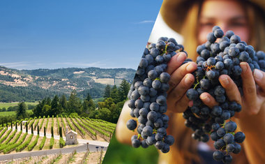 Conheça Sonoma, região na Califórnia dominada por vinícolas charmosas