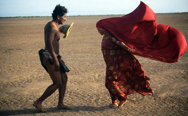 Pássaros de verão