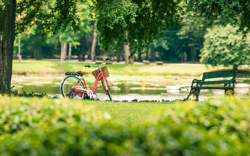 Parque da Água Branca