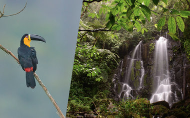 Conheça o Legado das Águas, destino incrível para amantes da natureza