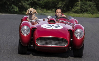 Pets no streaming: 15 filmes para morrer de fofura
