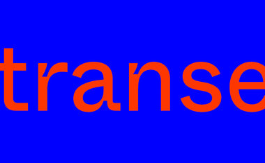 Conheça a 'Transe', plataforma digital que promove e conecta agentes das artes visuais no Brasil