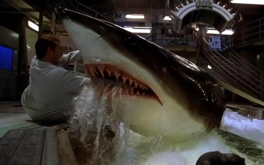 Streaming 11 filmes de tubarão que vão te prender do começo ao fim Streaming 11 filmes de tubarão que vão te prender do começo ao fim