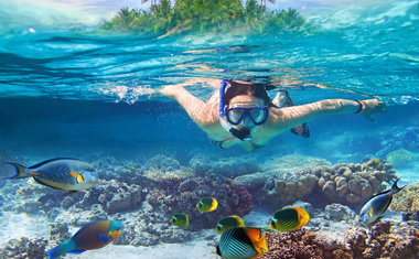 5 lugares no Brasil para nadar com peixes coloridos