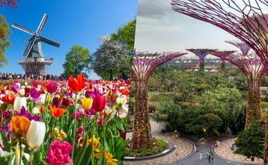 Tour virtual: 10 jardins incríveis ao redor do mundo para ver online