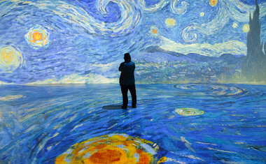 Beyond Van Gogh 