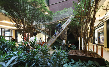 Circuito de Arvorismo no Shopping Cidade Jardim