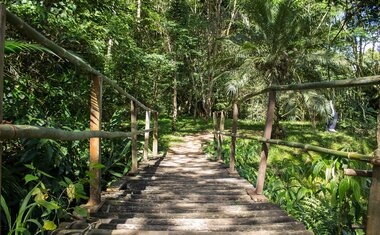 5 parques naturais brasileiros para visitar com as crianças durante as férias escolares