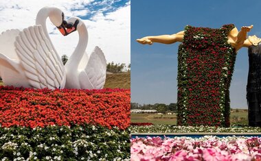 Maior exposição da América Latina de flores e plantas ornamentais de Holambra é ótima opção de passeio em família