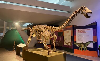 Saiba tudo sobre a exposição 'Dinossauros: Patagotitan - O Maior do Mundo', em cartaz no Parque Ibirapuera até 27 de novembro