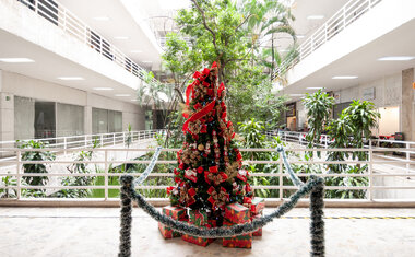 Imagem de destaque para Natal no Centro: Galeria Metrópole promove feira inédita com design autoral, arte e gastronomia