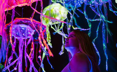 Imagem de destaque para Mooca Plaza Shopping recebe exposição imersiva Oceano Vivo