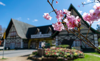 Imagem de destaque para 10 destinos de campo próximos a São Paulo para viajar no Outono 2026 