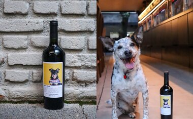 Imagem de destaque para Bardega Wine Bar lança vinho solidário para incentivar adoção de cães
