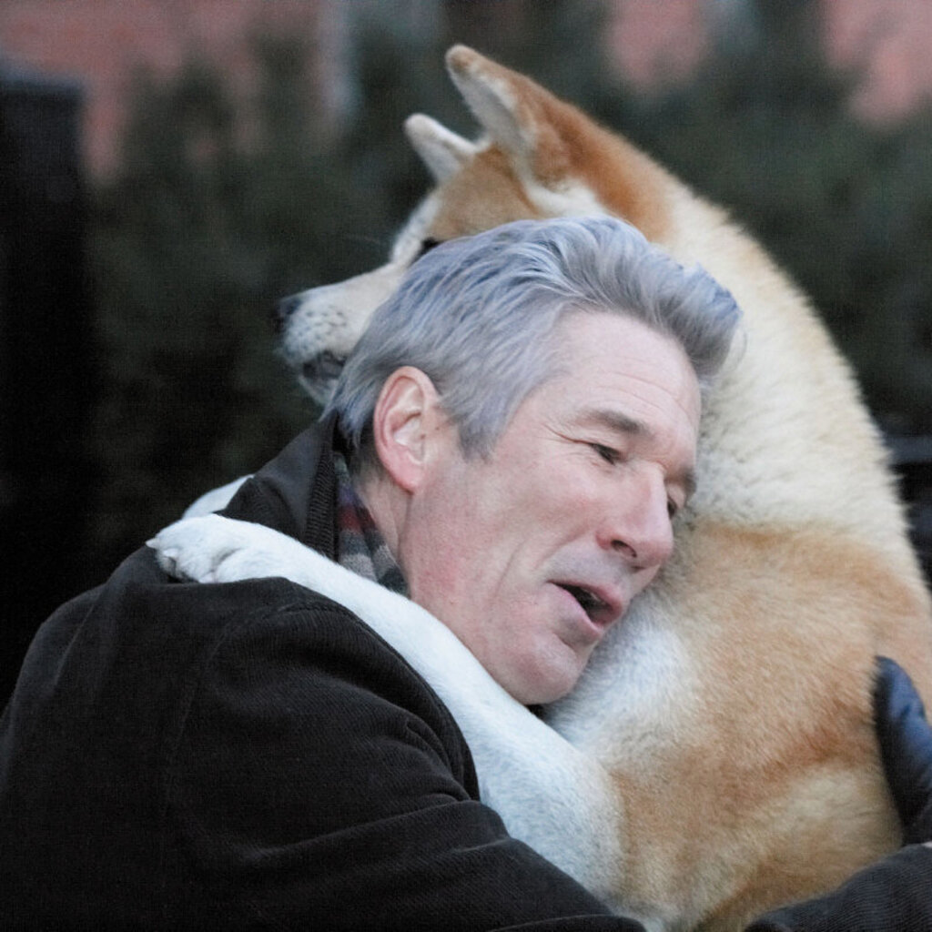 Rir até chorar com animais de estimação 