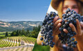 Conheça Sonoma, região na Califórnia dominada por vinícolas charmosas