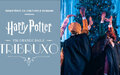 Imagem de destaque para 'Harry Potter™: Um Grande Baile Tribruxo' chega a São Paulo em outubro