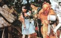 Imagem de destaque para Candlelight celebra "O Mágico de Oz" em concerto à luz de velas no Mosteiro de São Bento
