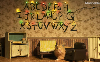Filmes e séries: Fofo! Vídeo de "Stranger Things" estrelado por hamsters viraliza na internet