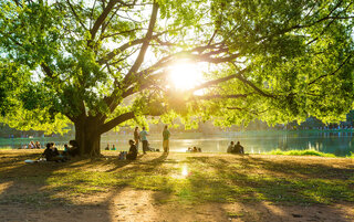 Na Cidade: Mais de 15 coisas que você precisa fazer em SP neste verão 