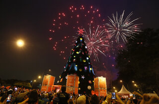 Na Cidade: Árvore de Natal do Ibirapuera será inaugurada em 26 de novembro