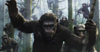 Cinema: Primeiro trailer de "Planeta dos Macacos: A Guerra" é divulgado; assista 