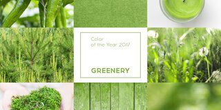 Moda e Beleza: Greenery é a cor de 2017; saiba como investir nesta tendência