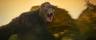 Cinema: Kong: A Ilha da Caveira