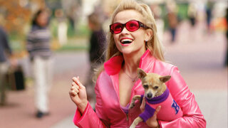 Cinema: Reese Witherspoon quer fazer "Legalmente Loira 3"