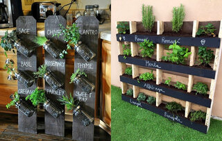 Casa e decoração: Mais de 20 tipos de jardins verticais para te inspirar a decorar sua casa 