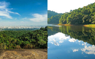 Na Cidade: Parque Estadual da Cantareira é refugio verde dentro de SP