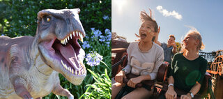 Na Cidade: Parque de diversão inspirado em dinossauros chega a Campinas 