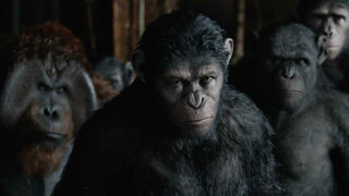 Cinema: Assista ao trailer final de "Planeta dos Macacos: A Guerra"