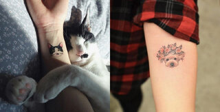 Pet:  2° Pet Day Tatto